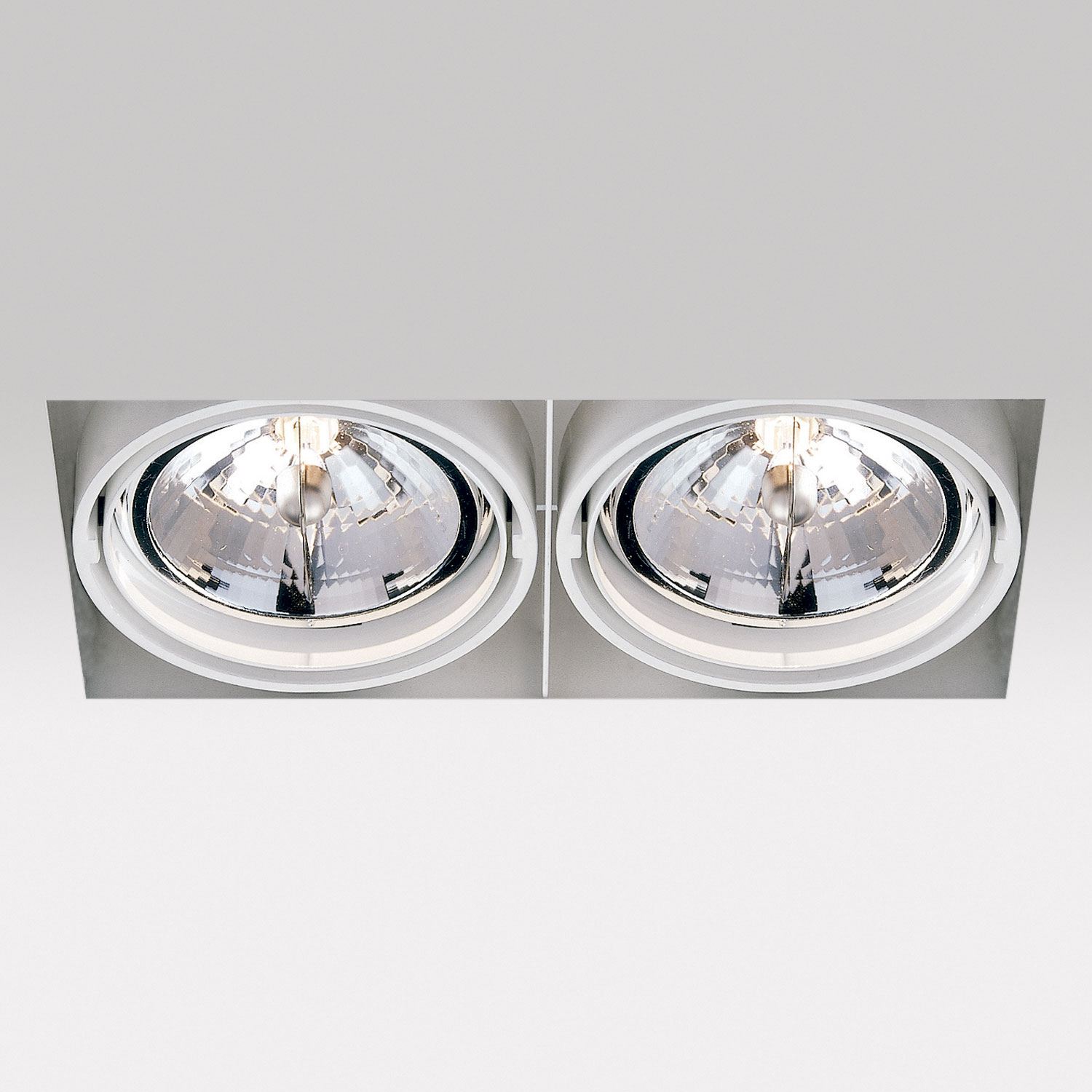 Delta Light 202 61 00 02 W GRID IN TRIMLESS 2 QR, белый, G53 12V EXCL.TRANSFO, встраиваемый в потолок светильник, Delta Light, Бельгия Delta Light 202 61 00 02 W GRID IN TRIMLESS 2 QR, белый, G53 12V EXCL.TRANSFO, встраиваемый в потолок светильник, Delta Light, Бельгия