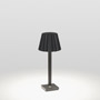 Иконка Delta Light 222 03 21 93 B BUTLER P 304, черный, 220-240V 50-60Hz, CRI 90, Теплый белый (+3000K), 377 lm 18 W 20 lm W, напольный светильник, Delta Light, Бельгия