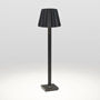 Иконка Delta Light 222 03 31 93 B BUTLER P 306, черный, 220-240V 50-60Hz, CRI 90, Теплый белый (+3000K), 377 lm 18 W 20 lm W, напольный светильник, Delta Light, Бельгия