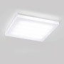 Иконка Delta Light 271 522 83 ED1 JETI PLANO L 415 DIM1, , 220-240V 0 50-60Hz, CRI 80, Теплый белый (+3000K), 4708 lm 69 W 68 lm W, настенно-потолочный накладной светильник, Delta Light, Бельгия