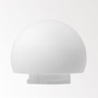 Иконка Delta Light 286 67 03 BOWL GLASS OPAL WHITE, , нет данных , светофильтр, Delta Light, Бельгия