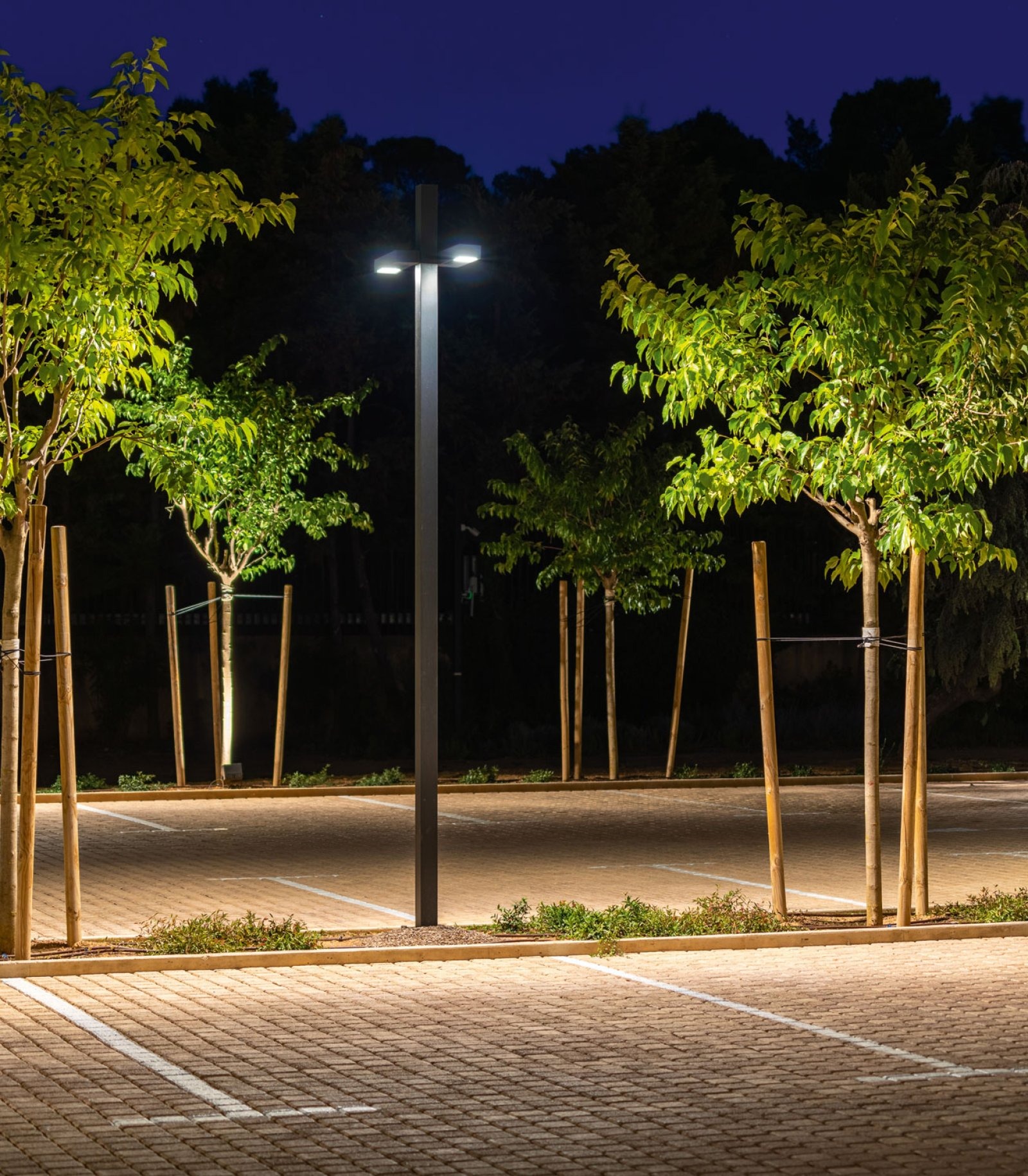 POLESANO 4M - 21L ANCHORED Pole Delta Light 4